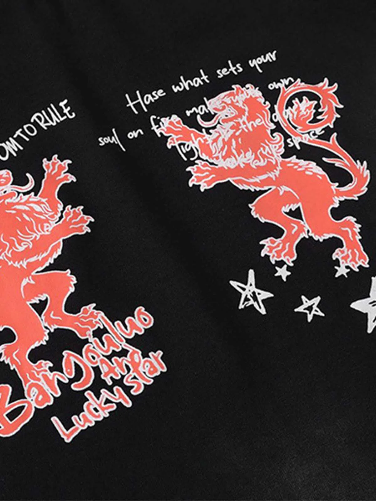 Heraldic Lion Acid-Wash Jersey T-Shirt - Image 9