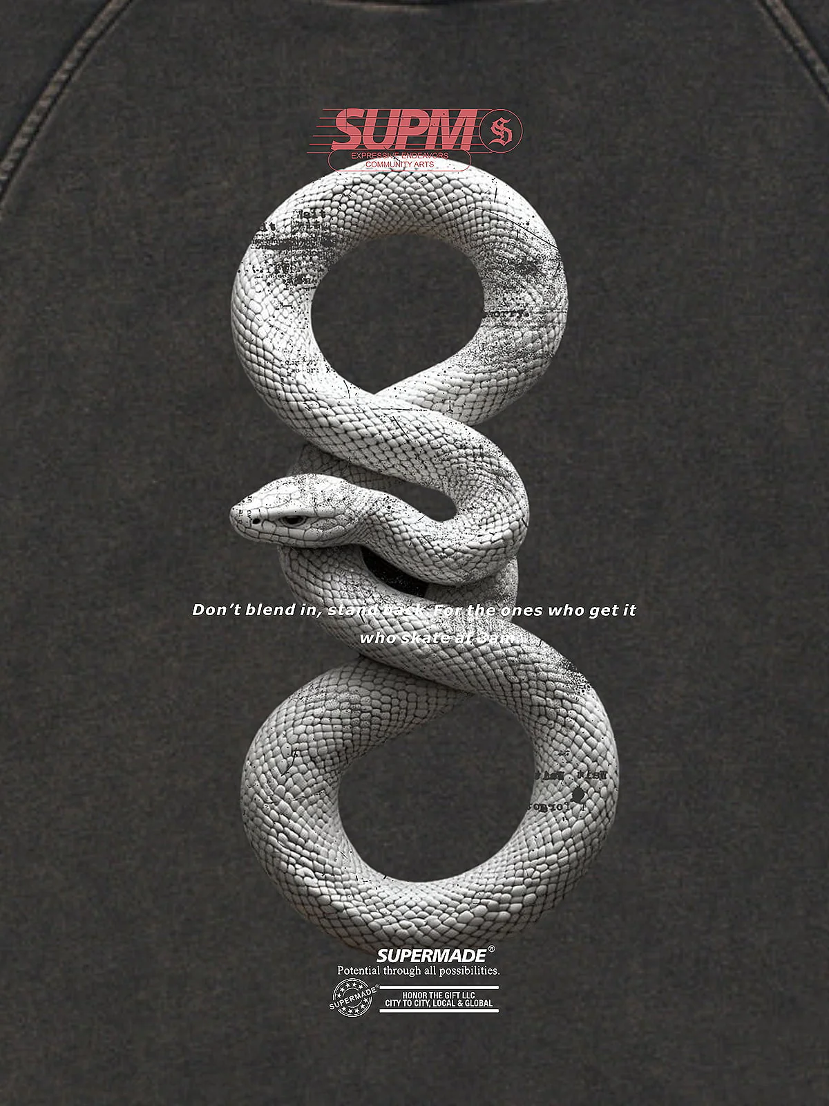 Vintage Washed Snake Appliqué Pullover Hoodie - Image 10