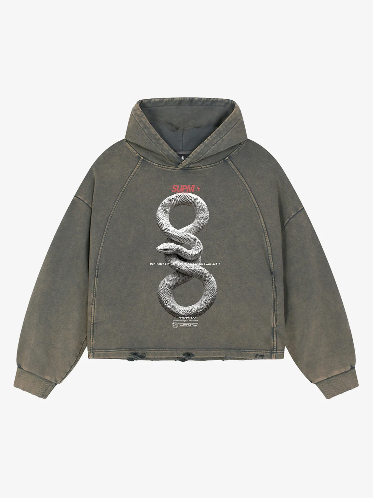 Vintage Washed Snake Appliqué Pullover Hoodie - Image 2