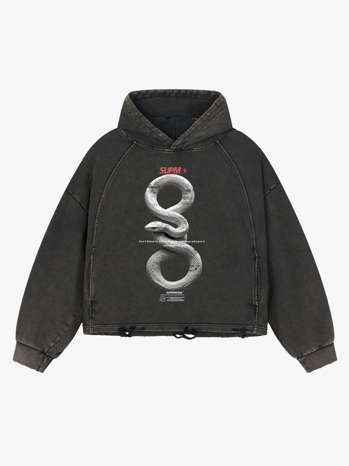 Vintage Washed Snake Appliqué Pullover Hoodie - Image 7