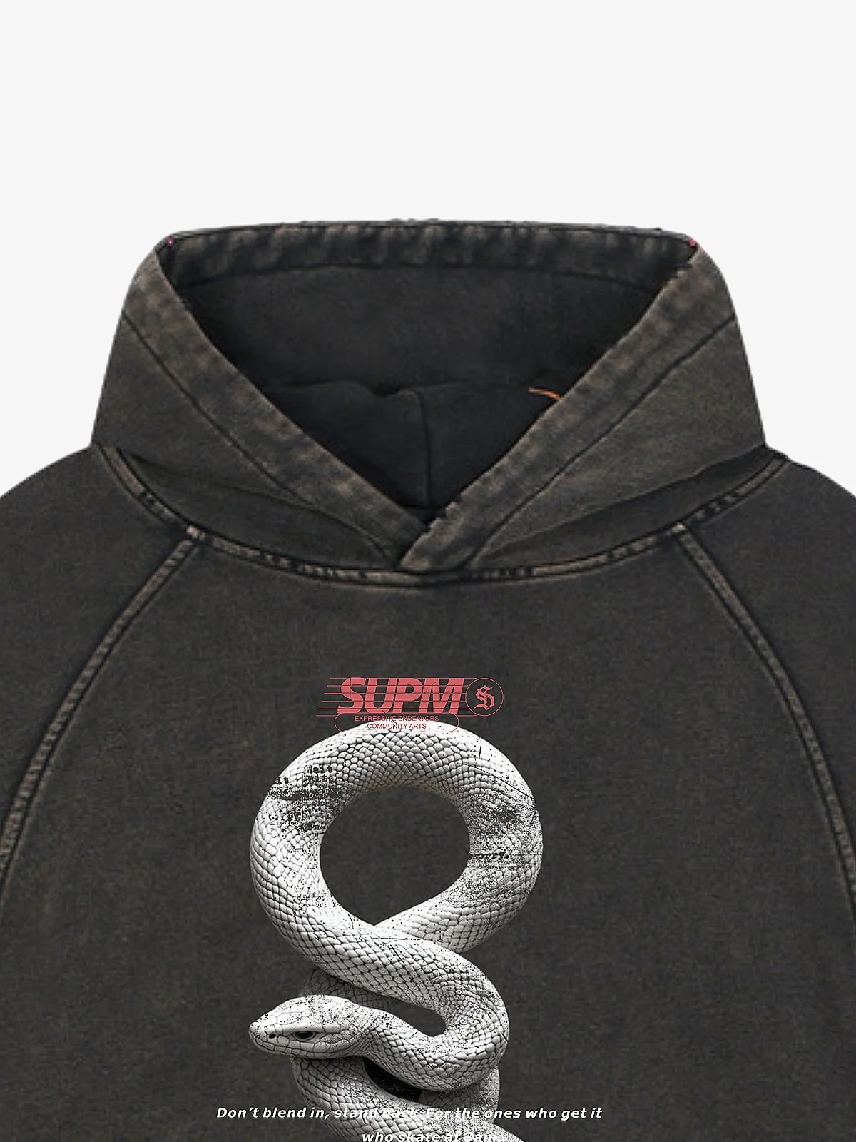 Vintage Washed Snake Appliqué Pullover Hoodie - Image 9